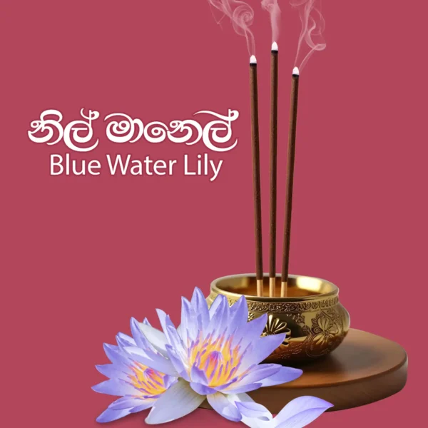 Blue Water Lily Incense Sticks 12 Pack - Image 2